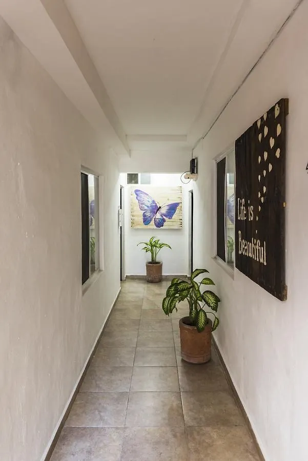 ***  Coconut Hotel Boutique Playa del Carmen Mexico